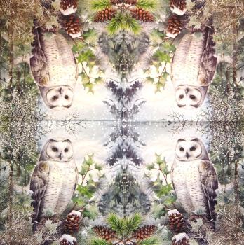 116 Owls - ply - Kalamazoo - CS - 24x24cm